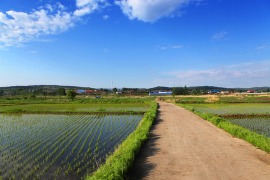 乡间小路