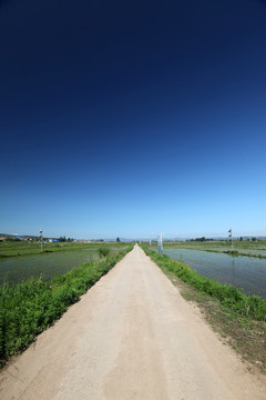 乡间小路