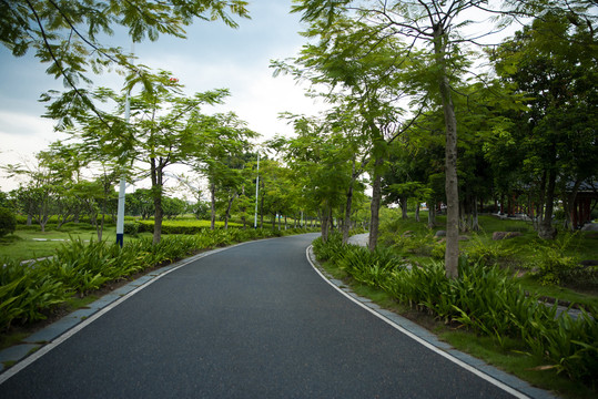 园林园博园绿化景观健身骑行车道