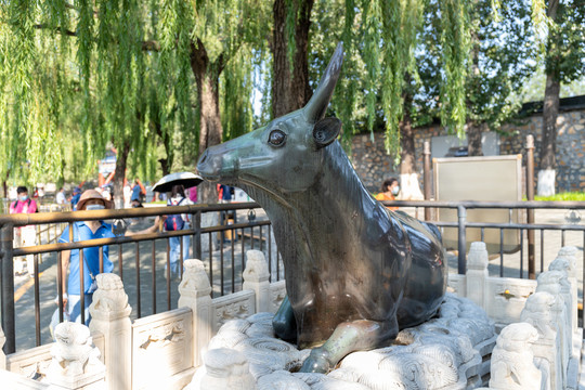 北京颐和园铜牛