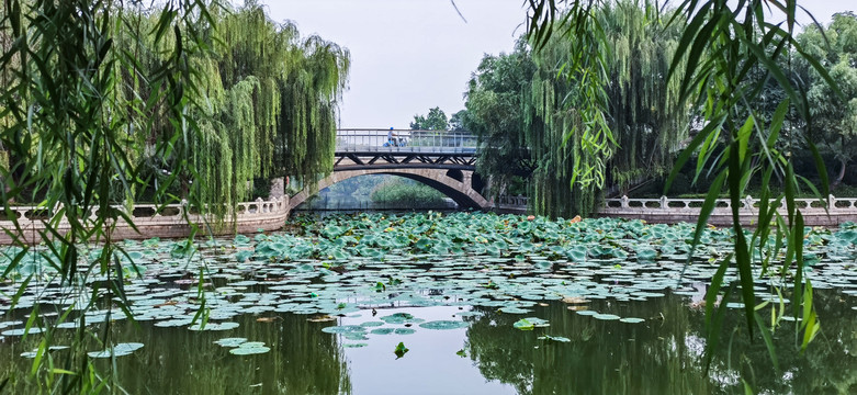 运河崇武桥