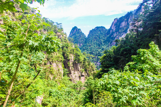 大明山