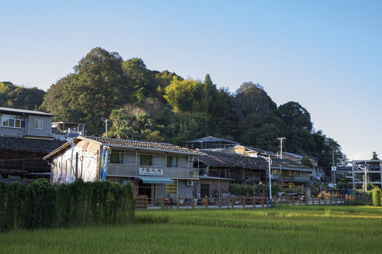 延平茫荡山风光