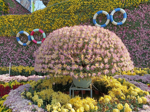 菊花造型