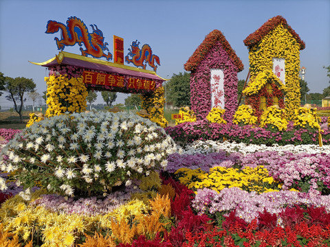 菊花展之龙门