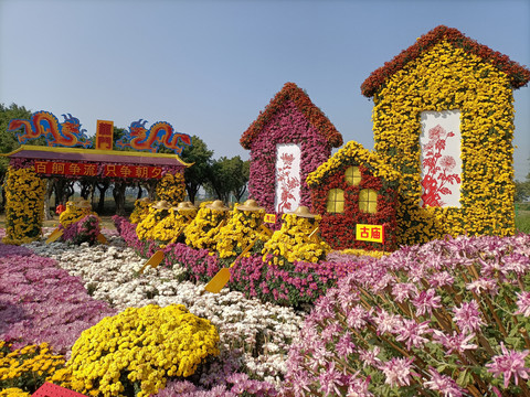 菊花展龙门