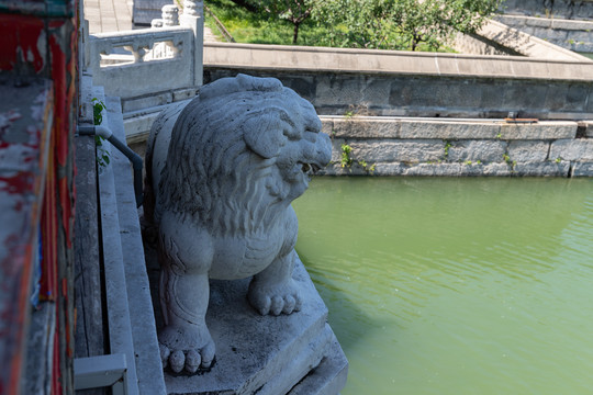 北京颐和园荇桥石狮子