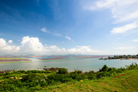 南澳岛海水养殖