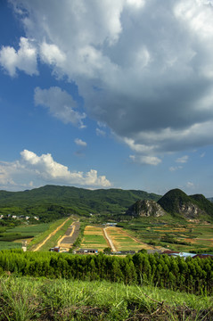 阳光明媚的户外风光