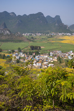 乡村农村田园风景