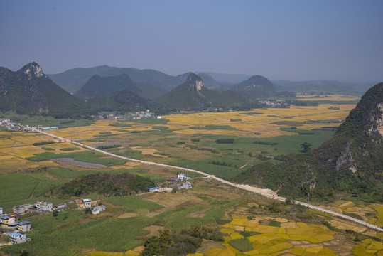 风景