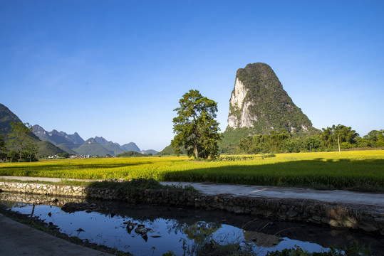 乡村风景