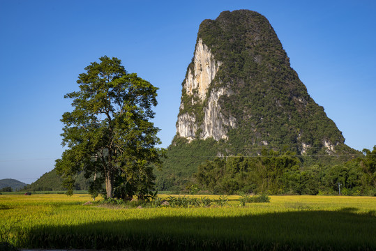 田园风景