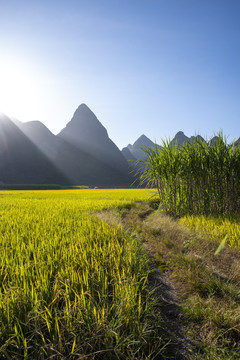 秋天风景