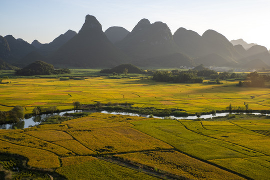 金秋风景