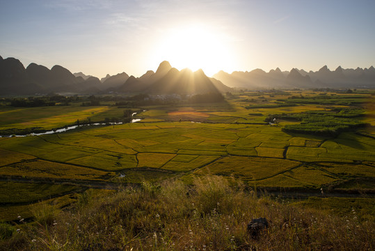 金秋风景