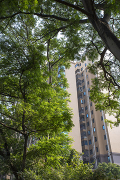 小区建筑
