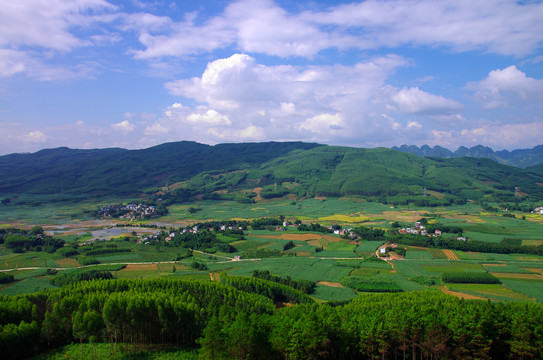 绿色乡村风景