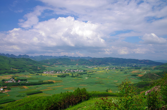 绿色乡村