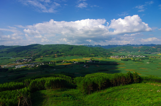 绿色山林