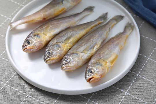 小黄鱼