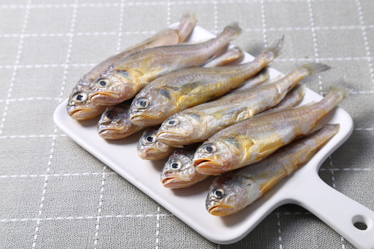 小黄鱼