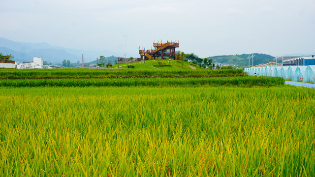 观景台