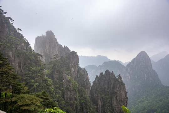 云雾山峦