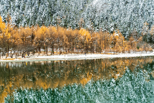 四川阿坝州毕棚沟冬季雪景图