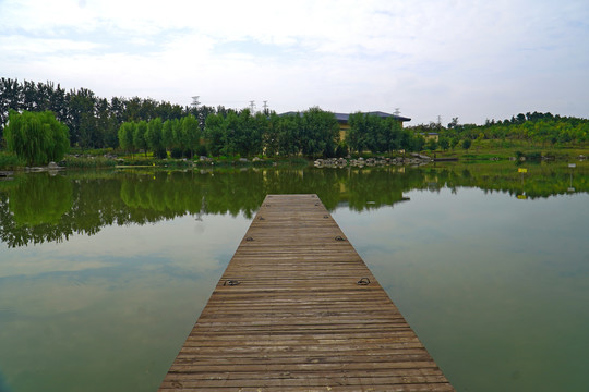 北京马家湾湿地公园