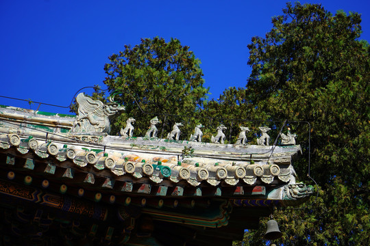 北京潭柘寺