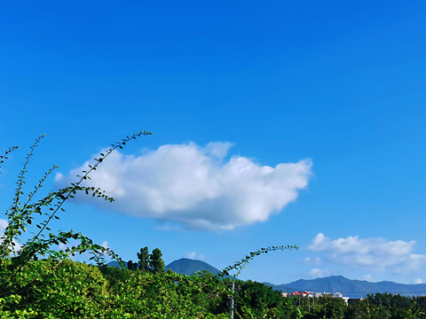 背景素材