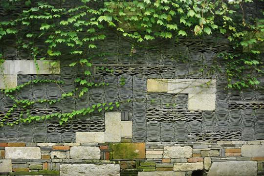 绿植小瓦装饰墙