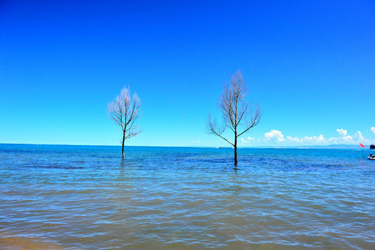 青海湖风光