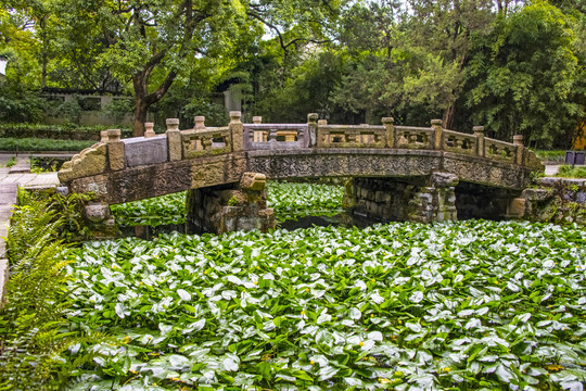 无锡锡惠公园金莲桥