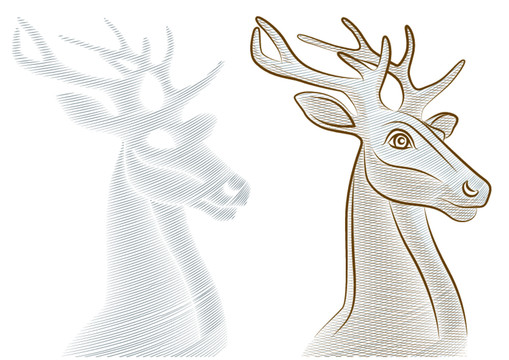鹿插画