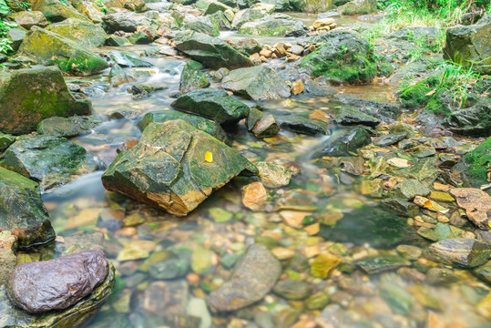 广东肇庆鼎湖山溪流风景