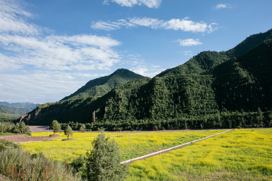 西藏公路上的风景