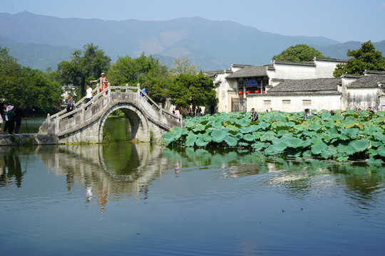 黄山宏村南湖画桥荷塘的景色