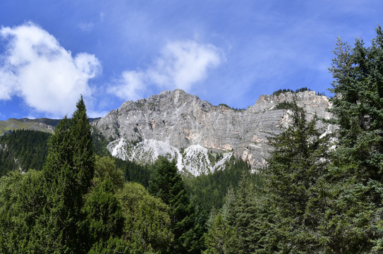 高山岩石