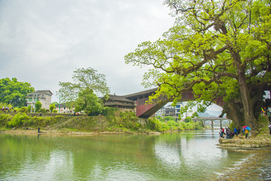 泰顺廊桥