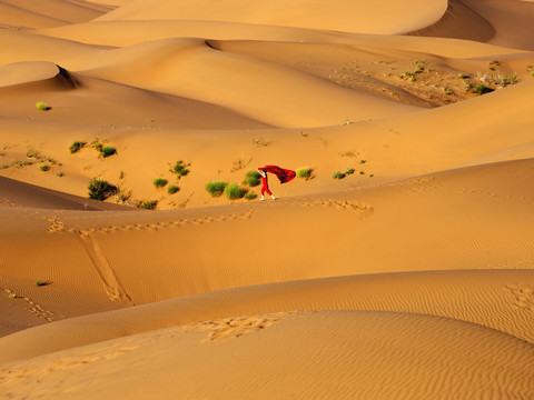 晨光里的大漠