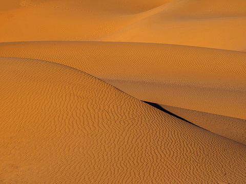 晨光里的大漠