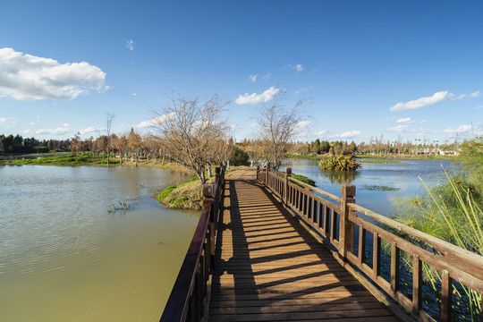 蓝天白云小桥滇池湿地景观