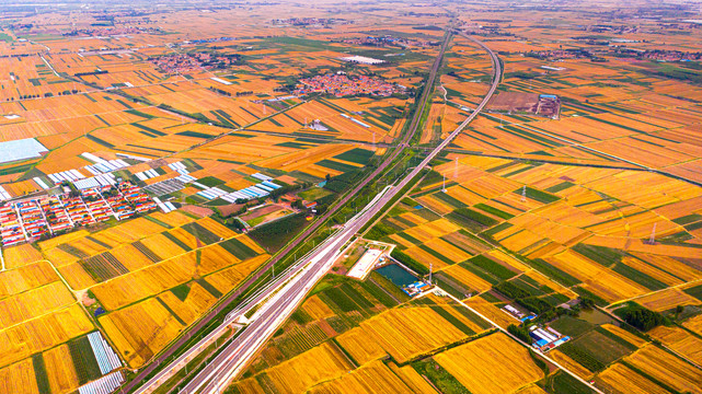 中国铁路丰收麦地