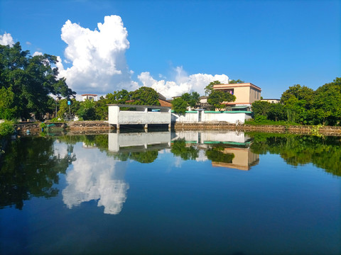 鱼塘风景