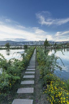 云南昆明草海湿地公园