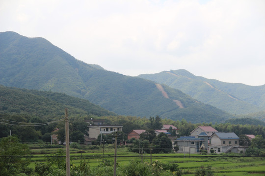 青山绿水人家