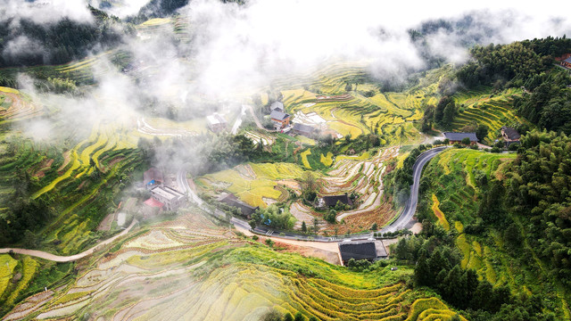 紫鹊界梯田云海秋景航拍高清4K