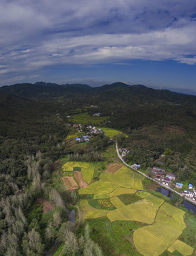 鸟瞰山乡秋天田野